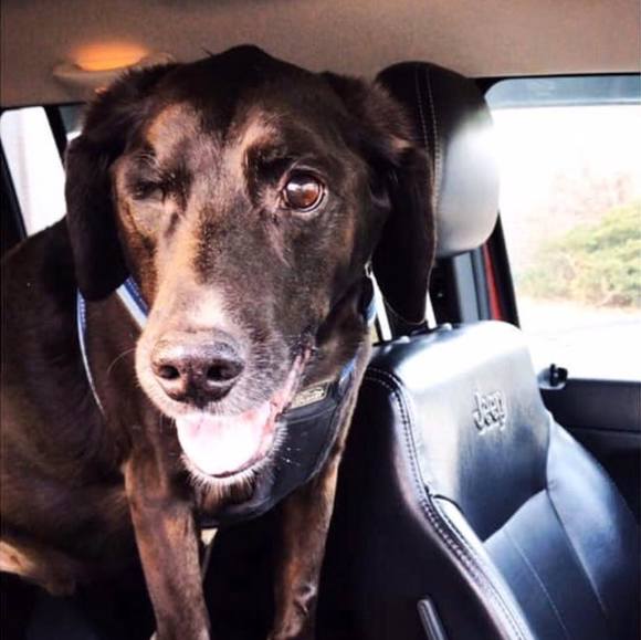 Meet your Posher, Janet - Picture 1 of 1